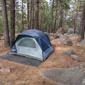 Review photo of Hualapai Mountain Park by Alex M., June 11, 2022