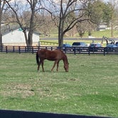 Review photo of Kentucky Horse Park Campground by Bubby N., June 11, 2022