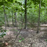 Review photo of Wawayanda Shelter by Katharine T., June 11, 2022