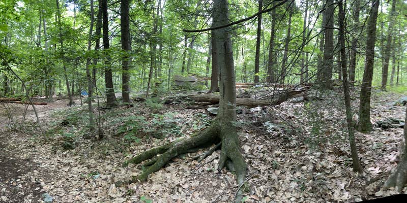 Camper submitted image from Wawayanda Group Shelter