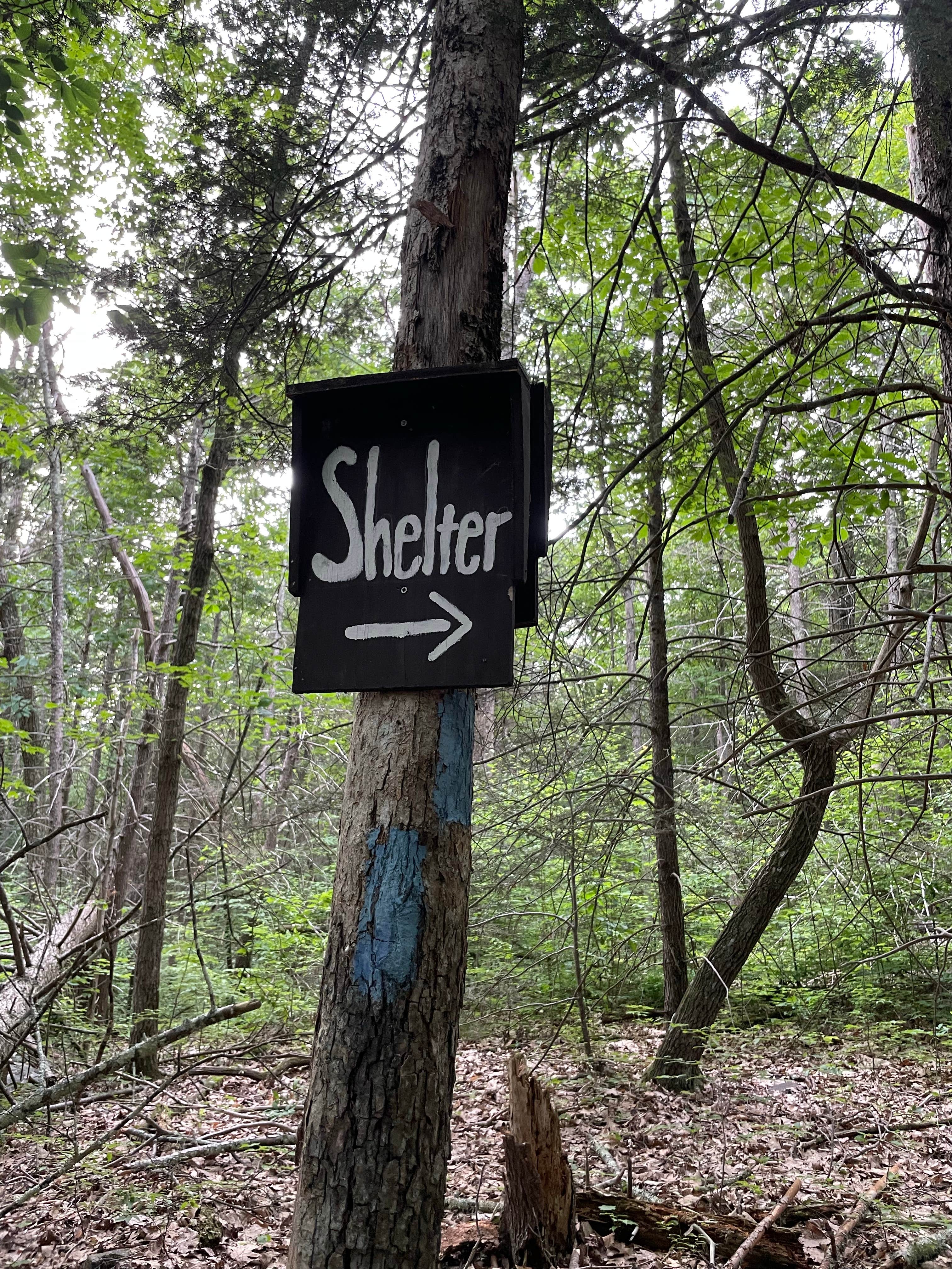 Camper-submitted photo at Wawayanda Group Shelter near Greenwood Lake, NY