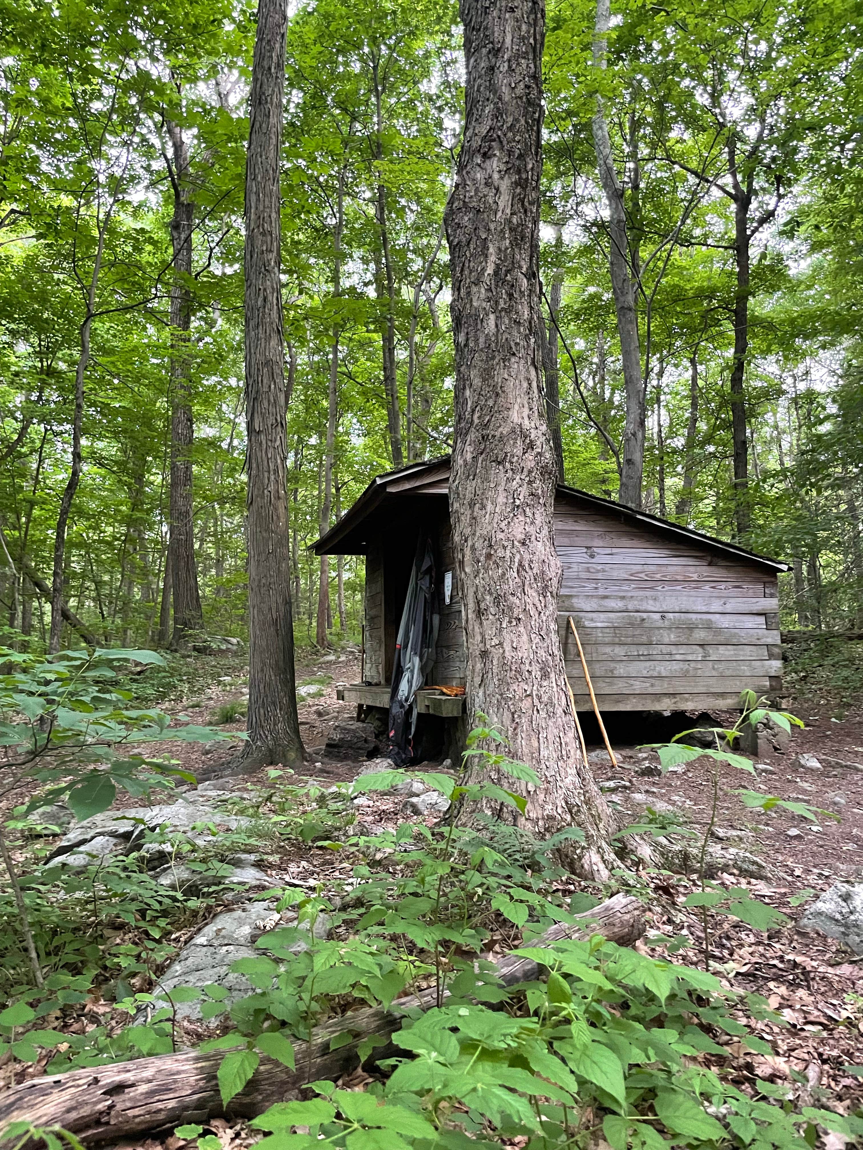 Camper-submitted photo at Wawayanda Group Shelter near Greenwood Lake, NY