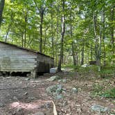 Review photo of Wawayanda Shelter by Katharine T., June 11, 2022