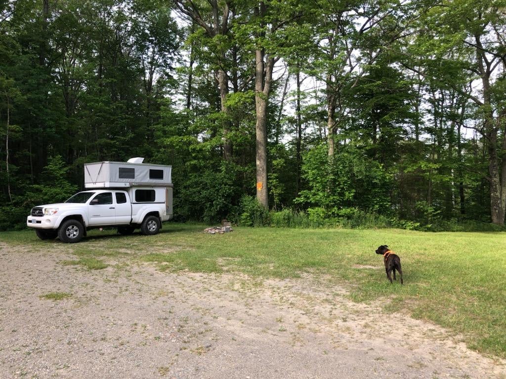 Camper submitted image from Sugar Hill Recreation Area Camping - 1