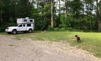 Camping near Finger Lakes RV Resort: Sugar Hill Recreation Area Camping, Tyrone, New York