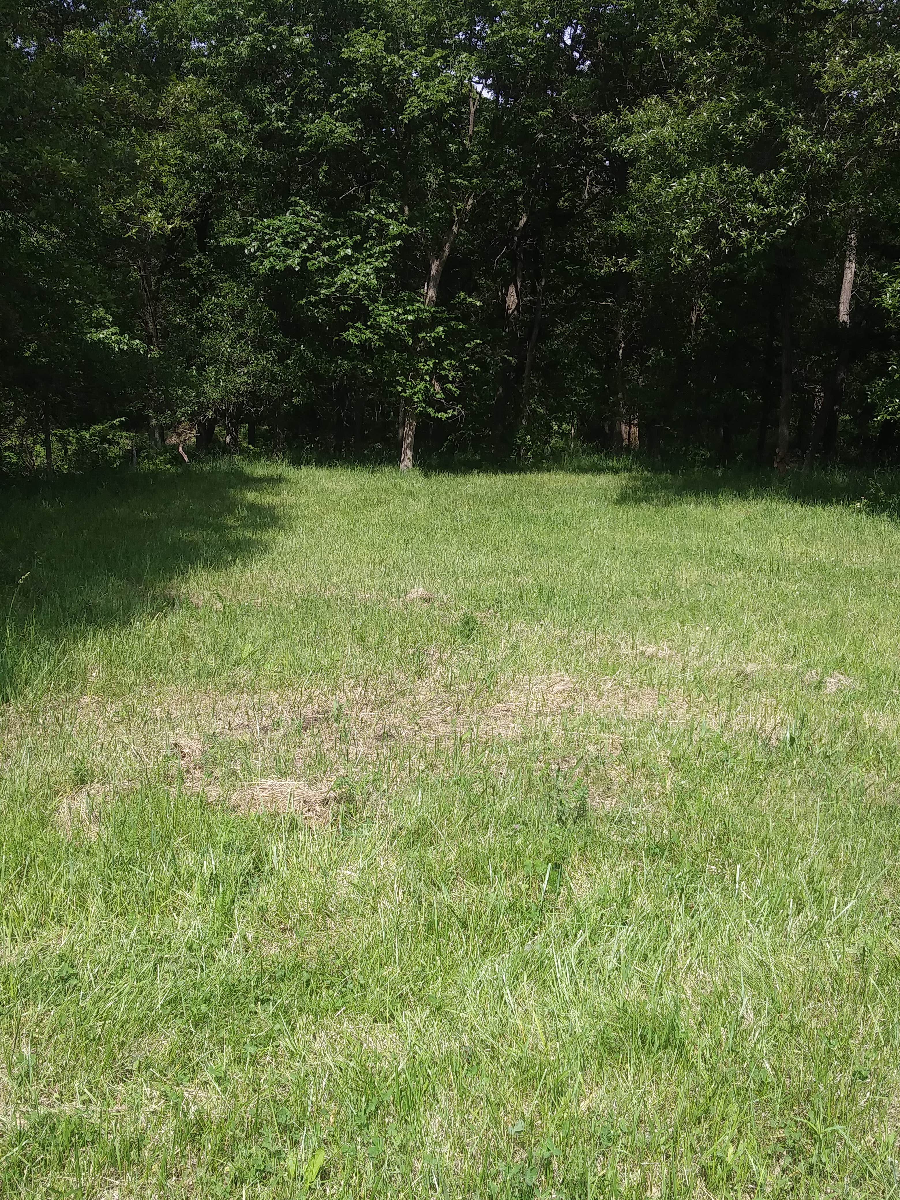 Camper-submitted photo at Papa's Alpacas Campsites near Kirksville, MO