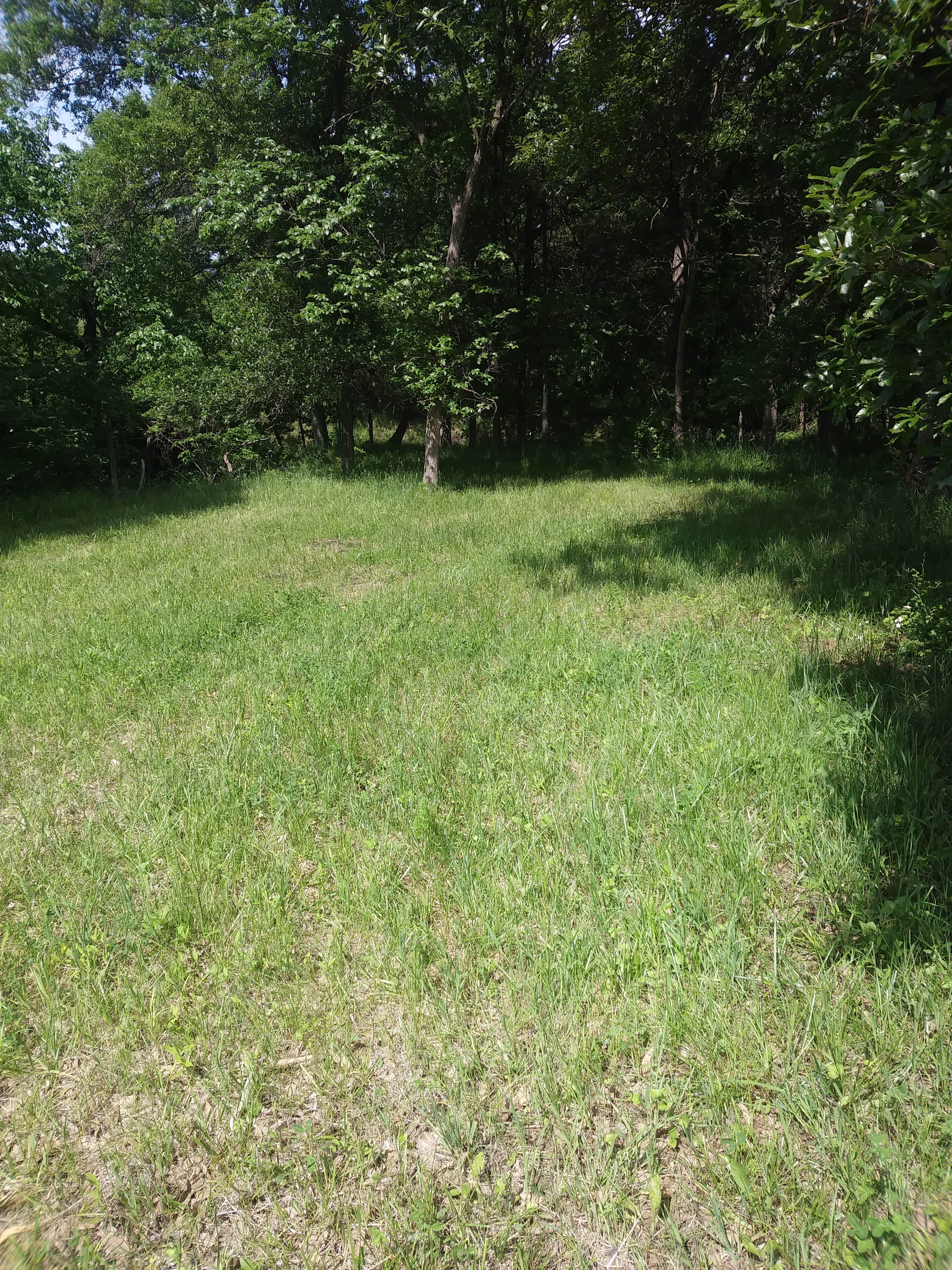 Camper-submitted photo at Papa's Alpacas Campsites near Kirksville, MO