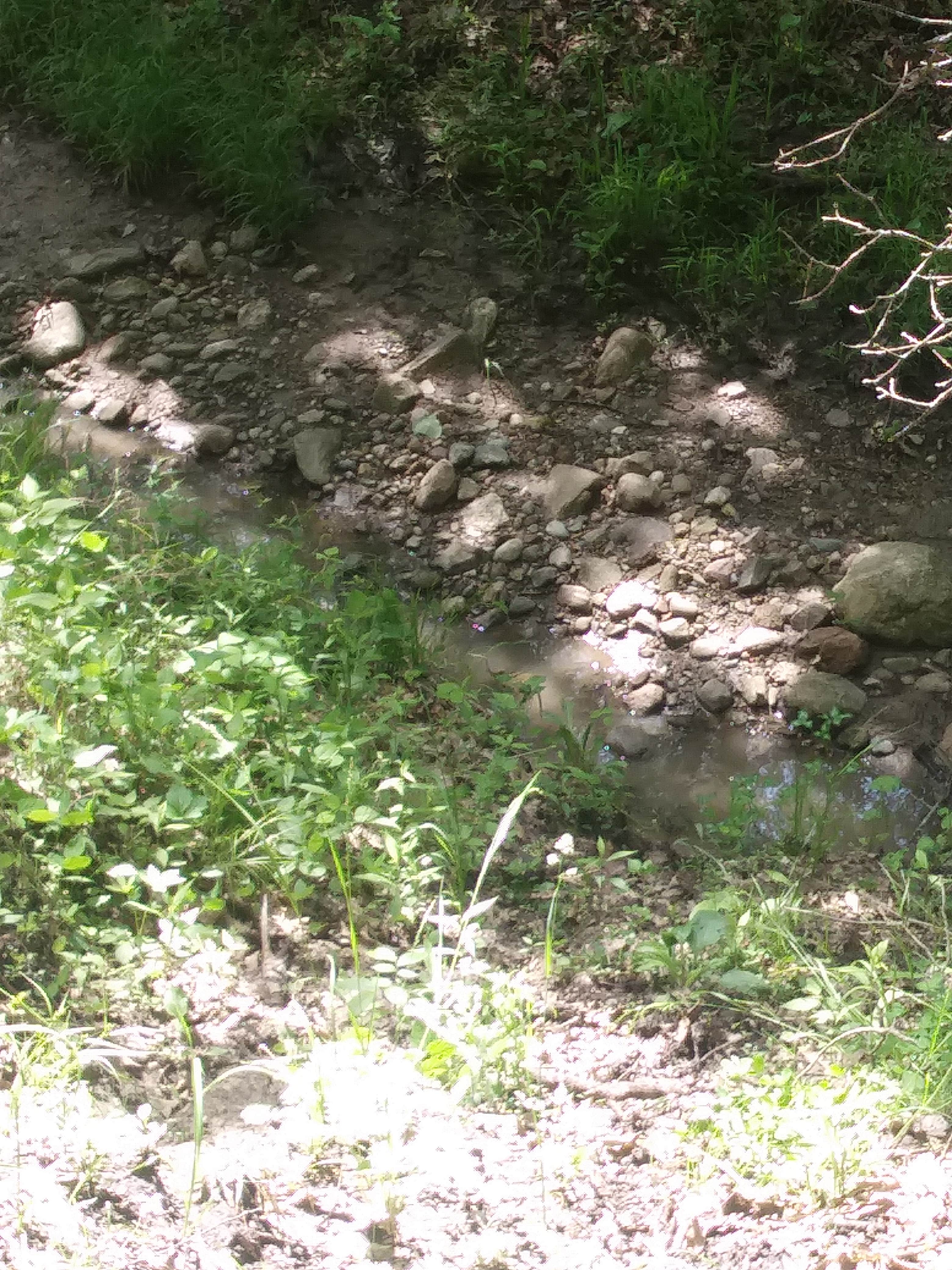 Camper-submitted photo at Papa's Alpacas Campsites near Kirksville, MO