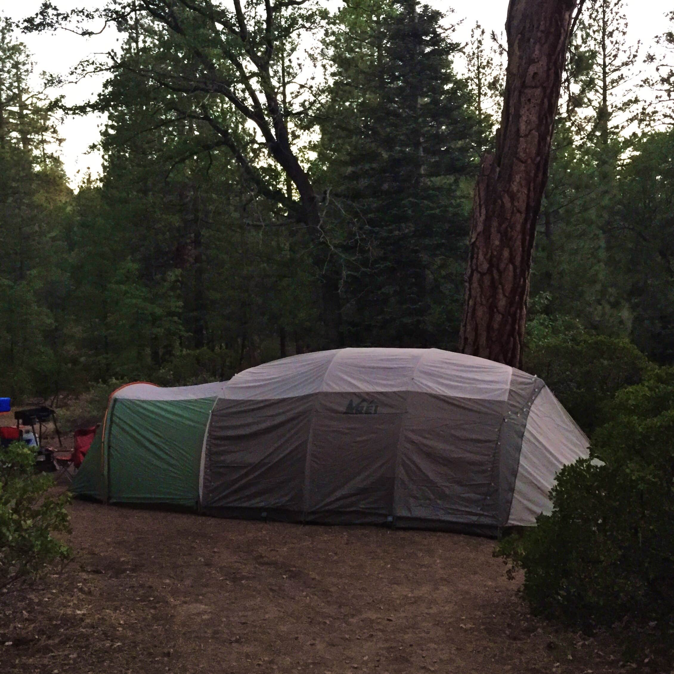 Leslie M.'s photo of tent camping at Military Park Miramar Marine Corps Air Station Big Bear Recreation Facility near Running Springs, CA