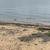 Review photo of Palmetto Shores RV Resort by Jonah J., June 11, 2022