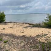Review photo of Palmetto Shores RV Resort by Jonah J., June 11, 2022