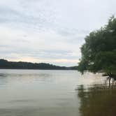 Review photo of Green River Lake State Park Campground by Carol , June 11, 2022