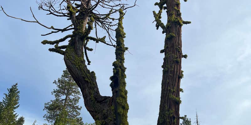 Camper submitted image from Cascade Creek Campground