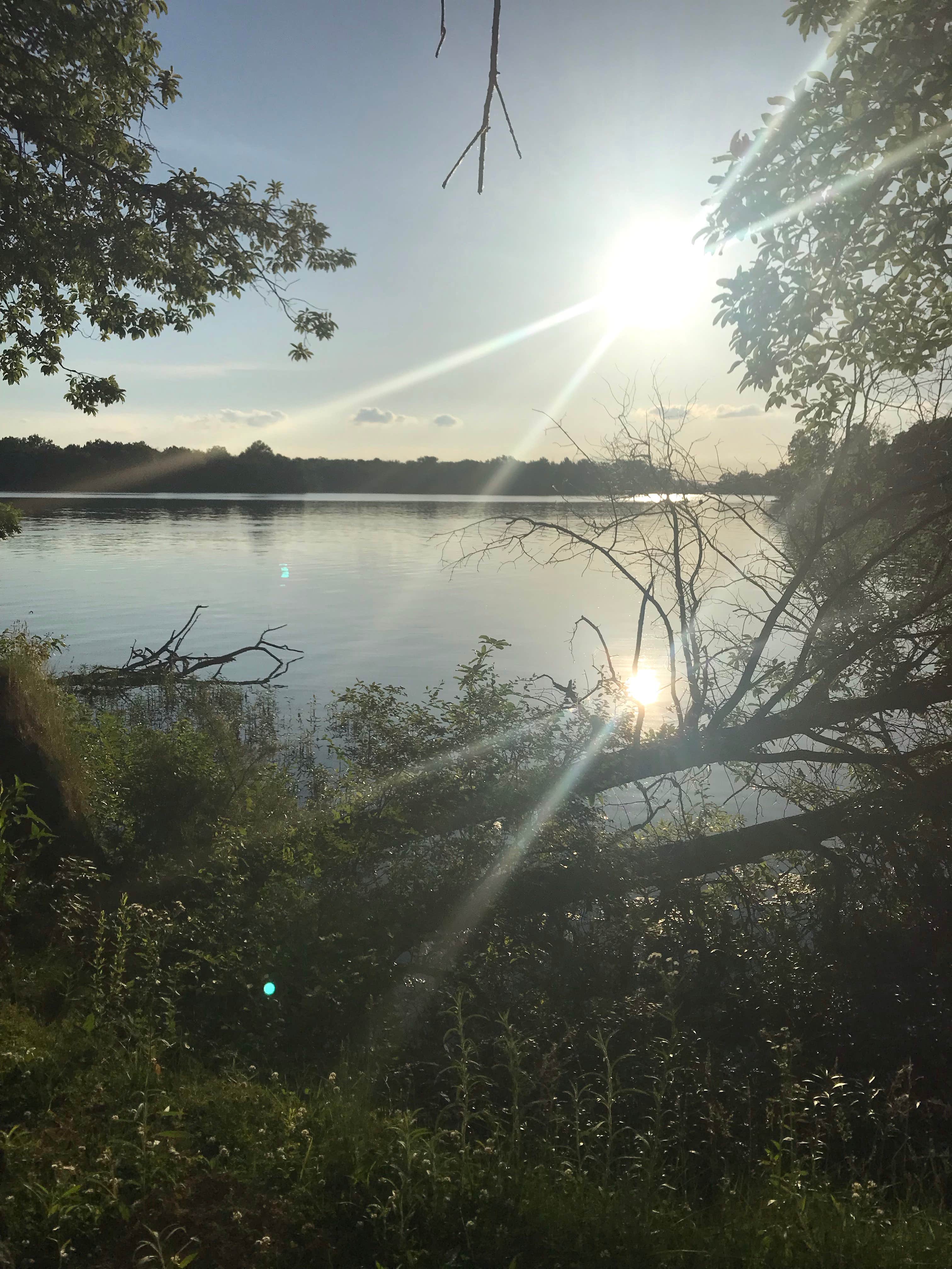 Camper submitted image from Sangchris Lake State Park Campground - 1