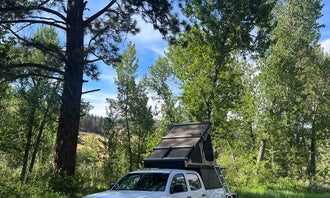 Camping near Toiyabe National Forest Silver Creek Campground: Markleeville Campground - Temporarily Closed, Markleeville, California