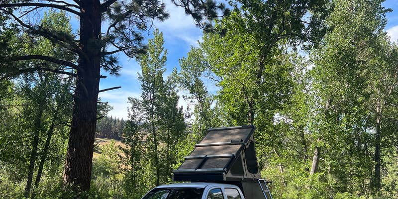 Camper submitted image from Markleeville Campground - Temporarily Closed