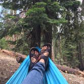 Review photo of Dorst Creek Campground — Sequoia National Park - TEMPORARILY CLOSED by Leslie M., July 15, 2018