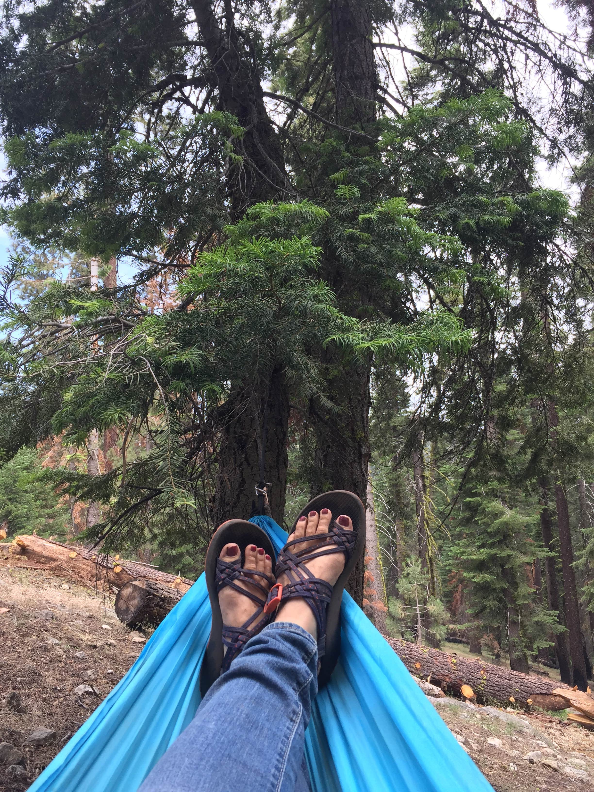 Camper submitted image from Dorst Creek Campground — Sequoia National Park - TEMPORARILY CLOSED - 1