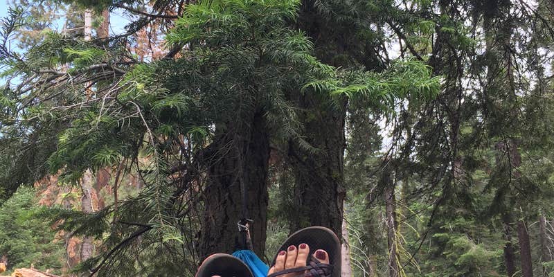 Camper submitted image from Dorst Creek Campground — Sequoia National Park - TEMPORARILY CLOSED