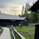 Review photo of Signal Mountain Campground — Grand Teton National Park by Alex S., June 12, 2022