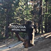 Review photo of Dorst Creek Campground — Sequoia National Park - TEMPORARILY CLOSED by Leslie M., July 15, 2018