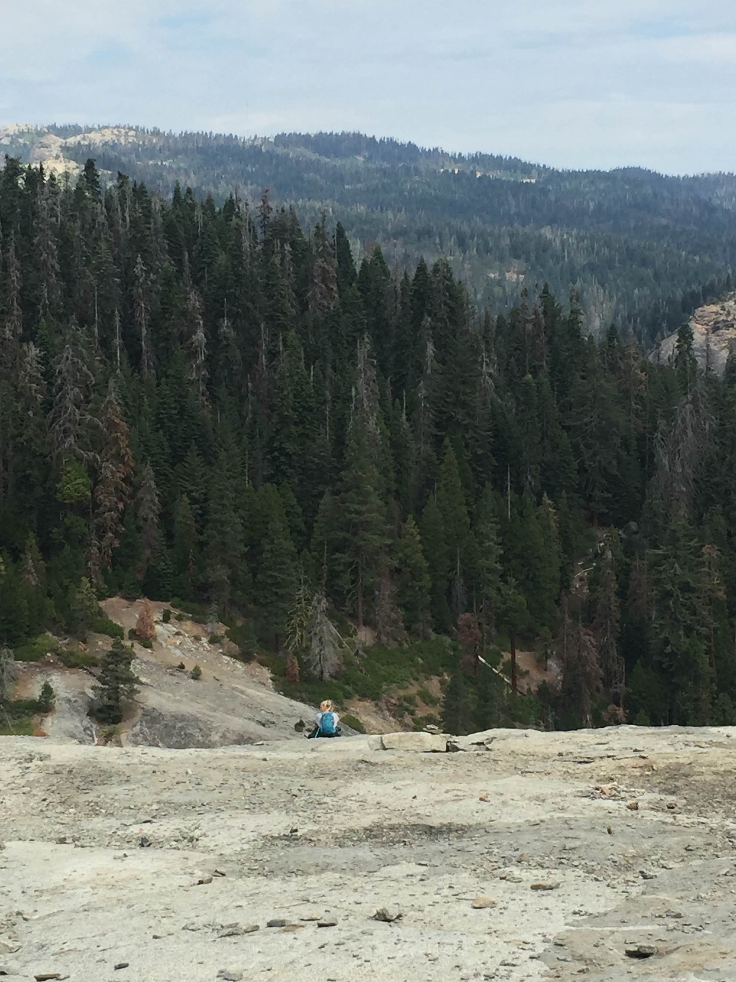 Camper-submitted photo at Dorst Creek Campground — Sequoia National Park - TEMPORARILY CLOSED near Three Rivers, CA