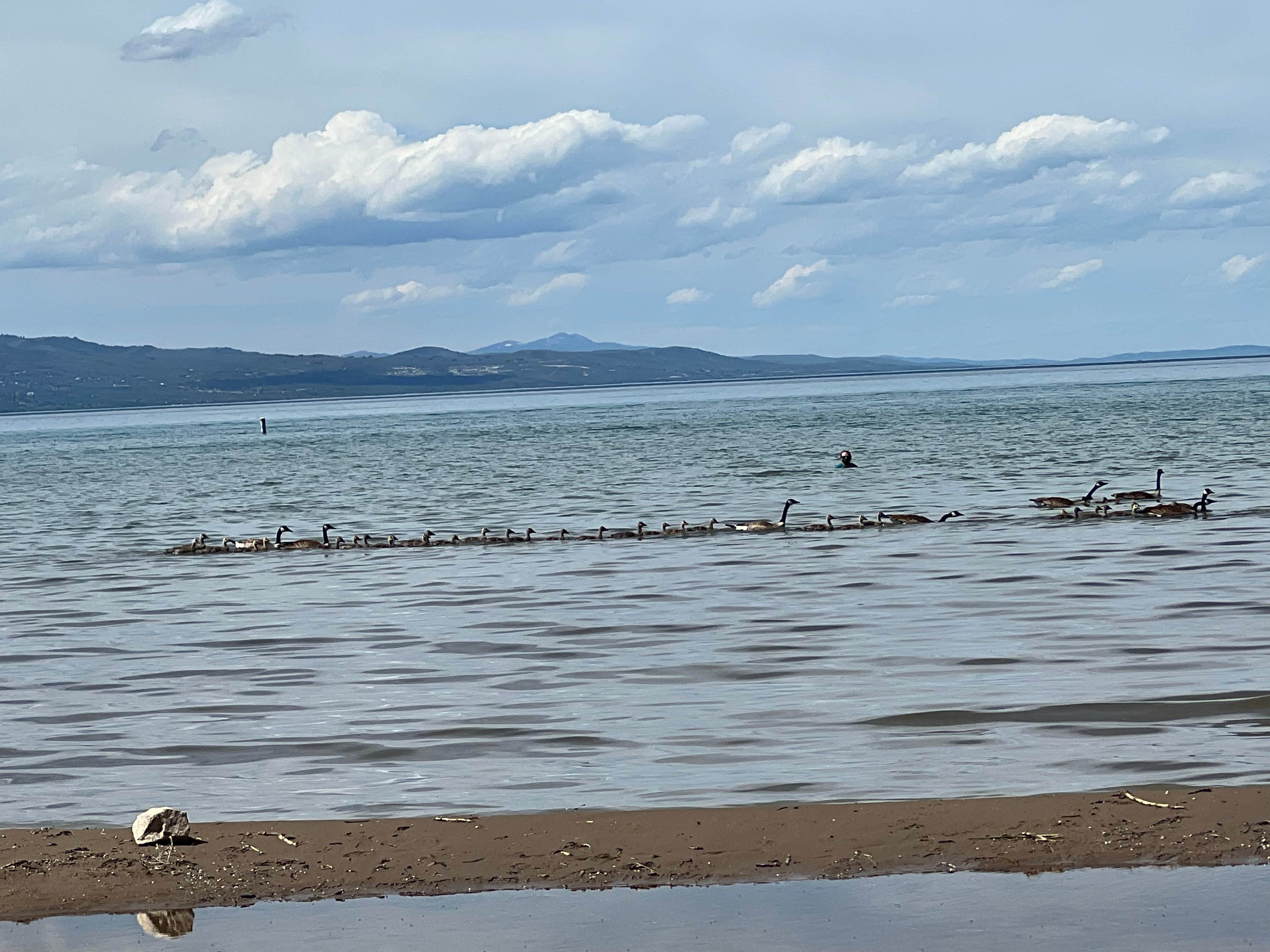 Camper submitted image from Cottonwood Campground — Bear Lake State Park - 1