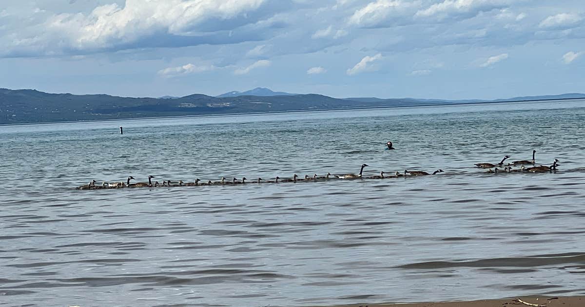 Cottonwood Campground — Bear Lake State Park