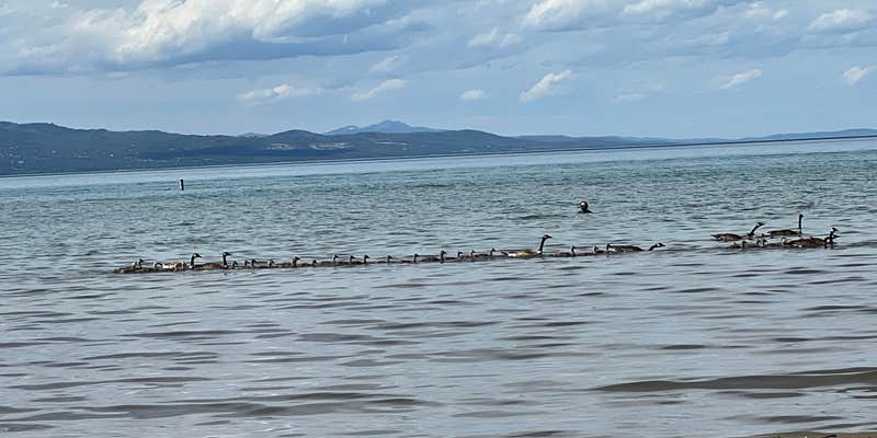 Camper submitted image from Cottonwood Campground — Bear Lake State Park