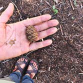 Review photo of Dorst Creek Campground — Sequoia National Park - TEMPORARILY CLOSED by Leslie M., July 15, 2018