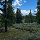 Review photo of Headwaters Campground at Flagg Ranch — John D. Rockefeller, Jr., Memorial Parkway by Danielle and Kamal L., June 12, 2022