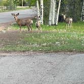 Review photo of Fort Bridger RV Camp by Daniel C., June 12, 2022