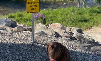 Daniel C.'s photo of camping with pets at Buffalo KOA near Bighorn Canyon National Recreation Area