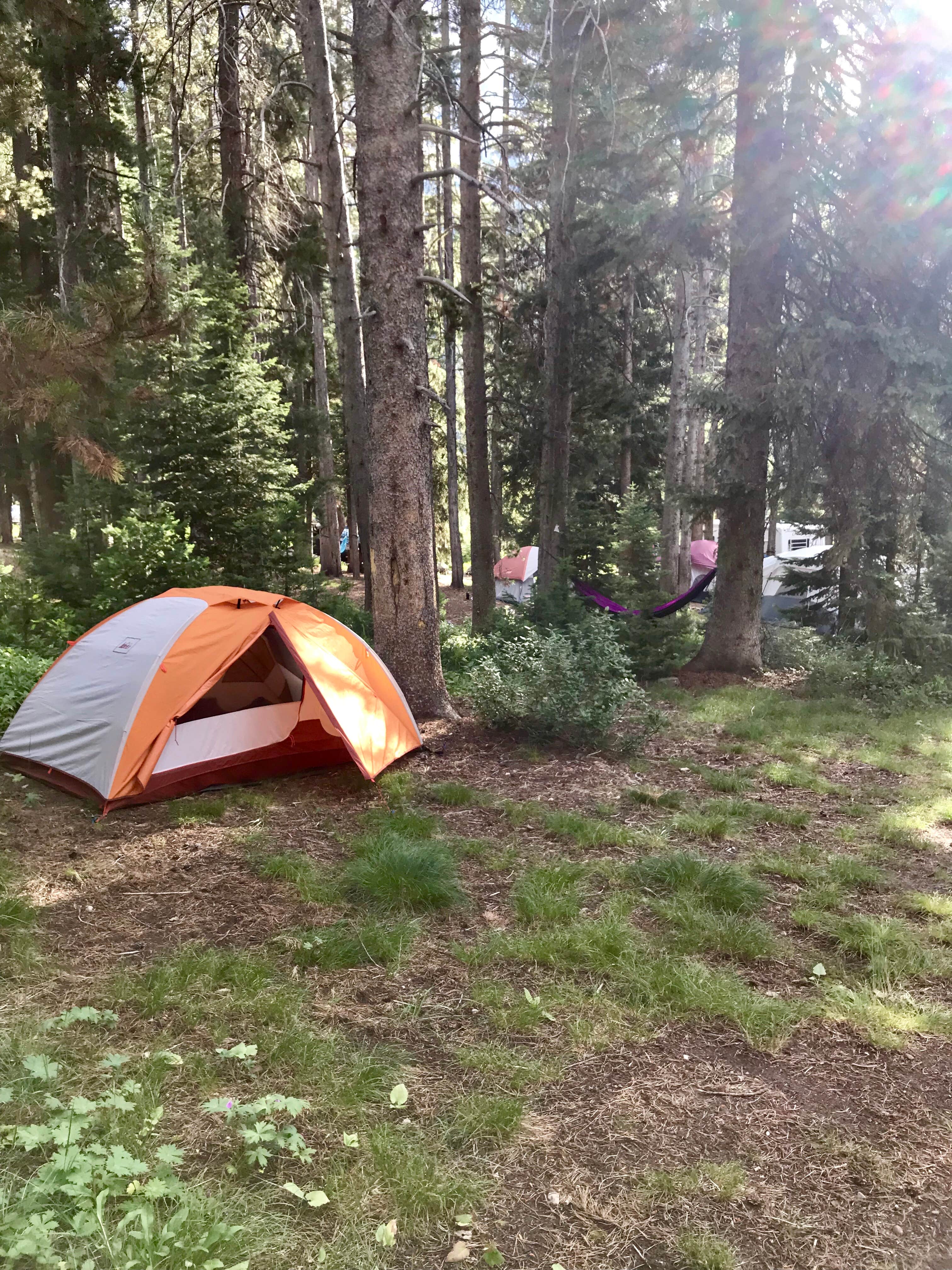 Carrie C.'s photo at Granite Creek Campground near Bondurant, WY