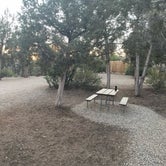 Review photo of Oasis RV Resort and Cottages by patti S., June 12, 2022