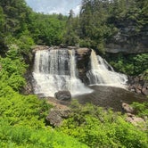 Review photo of Blackwater Falls State Park Campground by Amy & Stu B., June 12, 2022