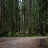 Review photo of Flint Ridge Backcountry Site - Redwood National and State Park by Apryl E., July 15, 2018