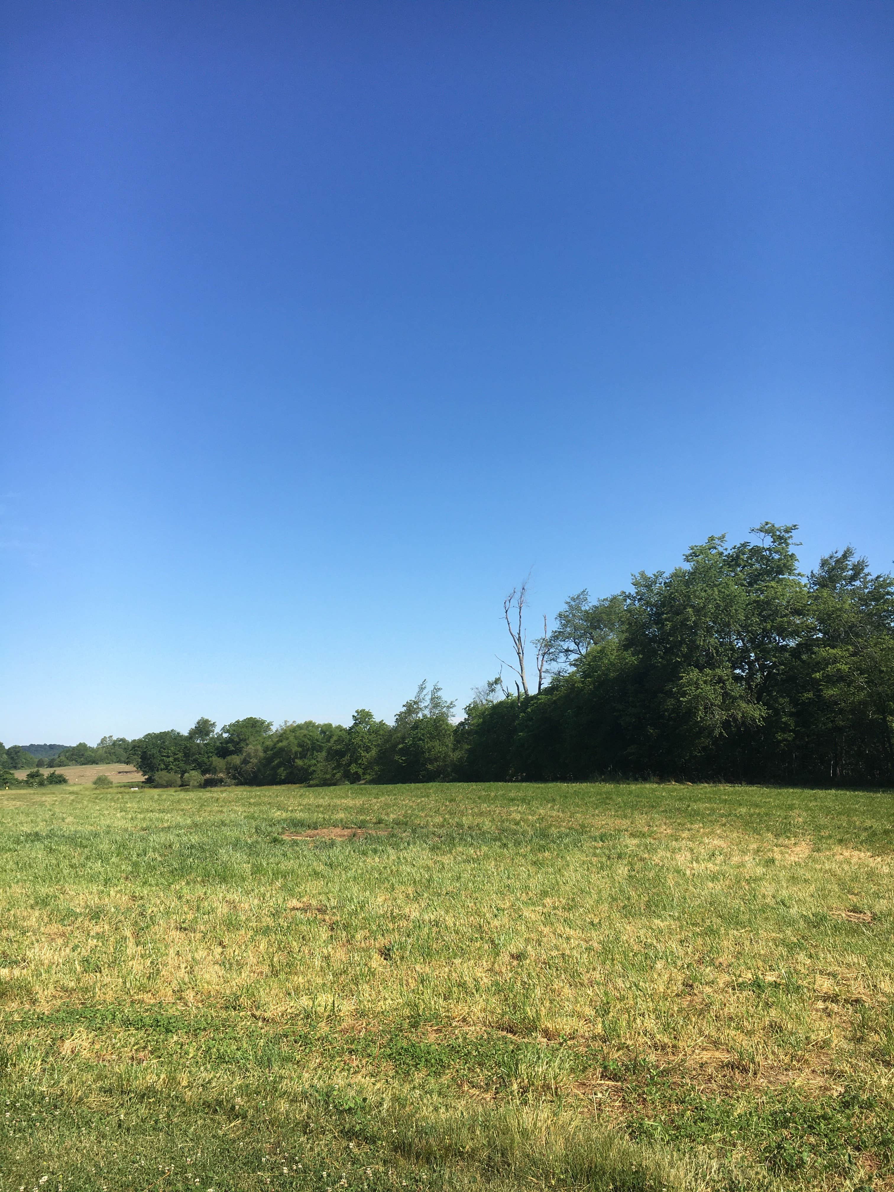 Camper-submitted photo at Cecilia Campgrounds near Horse Cave, KY