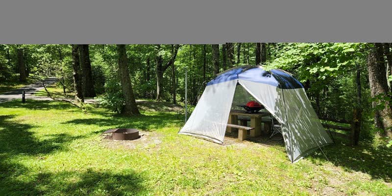 Camper submitted image from Doughton Park Campground — Blue Ridge Parkway