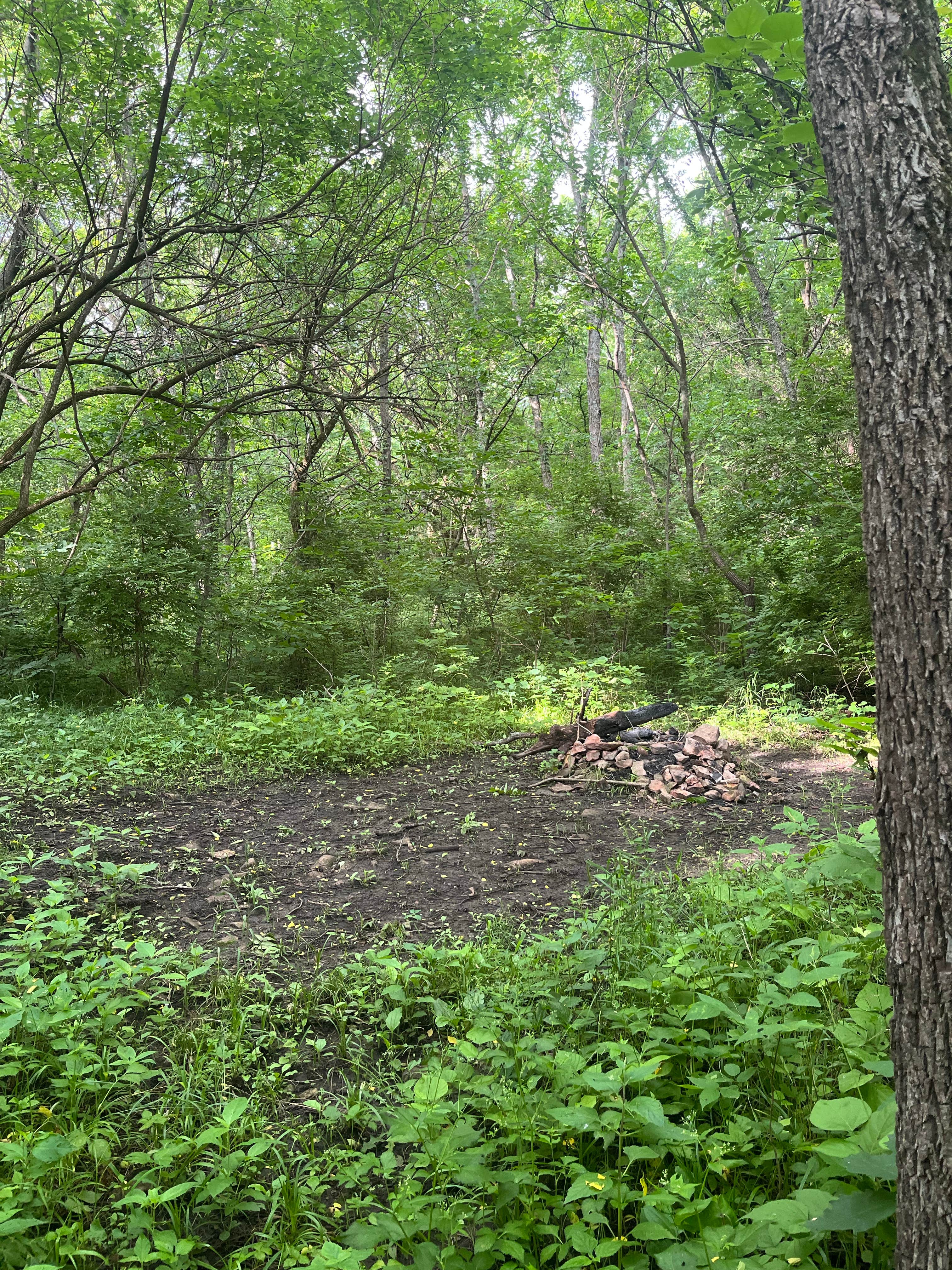 Camper-submitted photo at Woodridge Park near Lyndon, KS