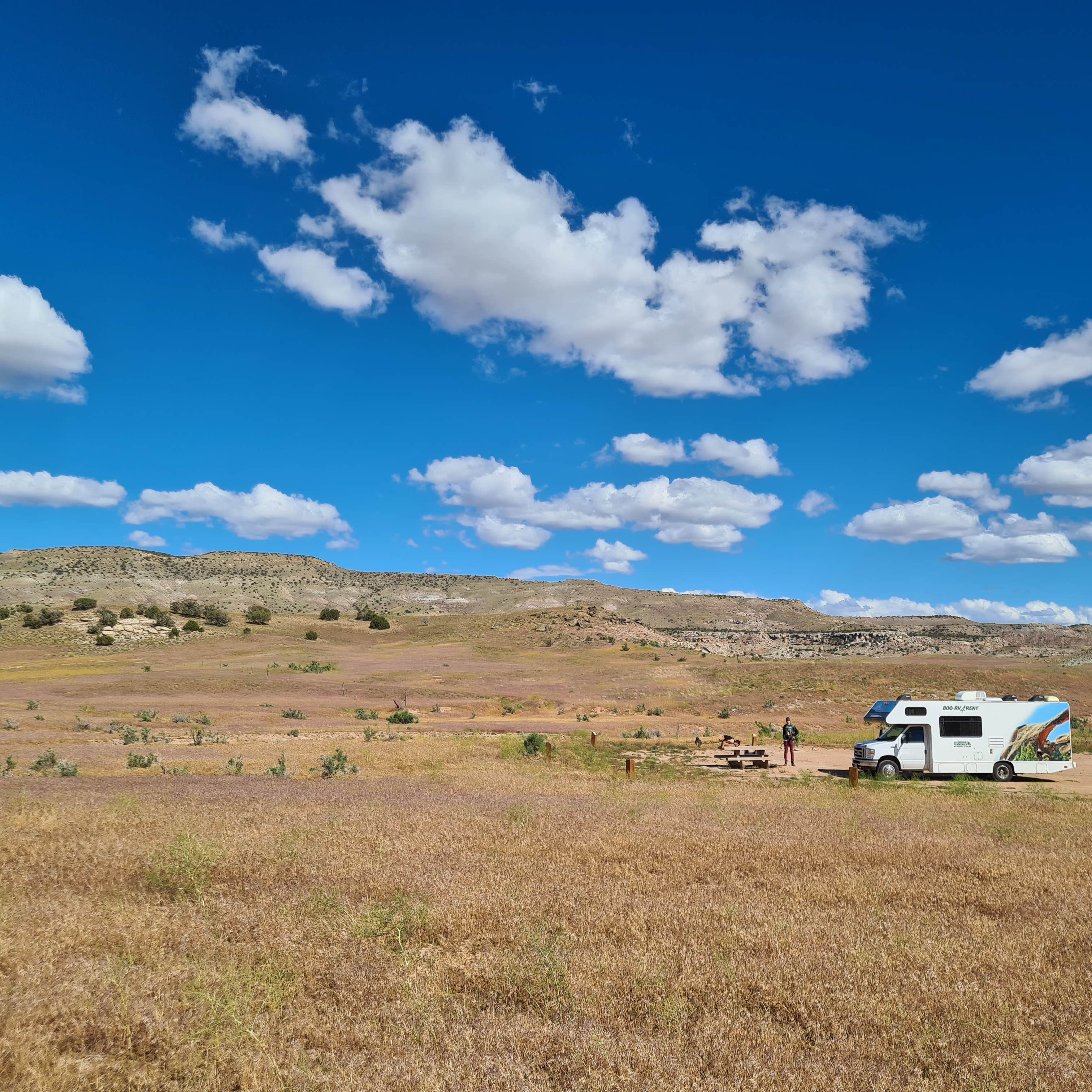 Rabbit Valley — Mc Innis Canyons National Conservation Area Camping