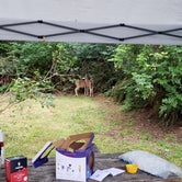 Review photo of Harris Beach State Park Campground by Mike , June 12, 2022