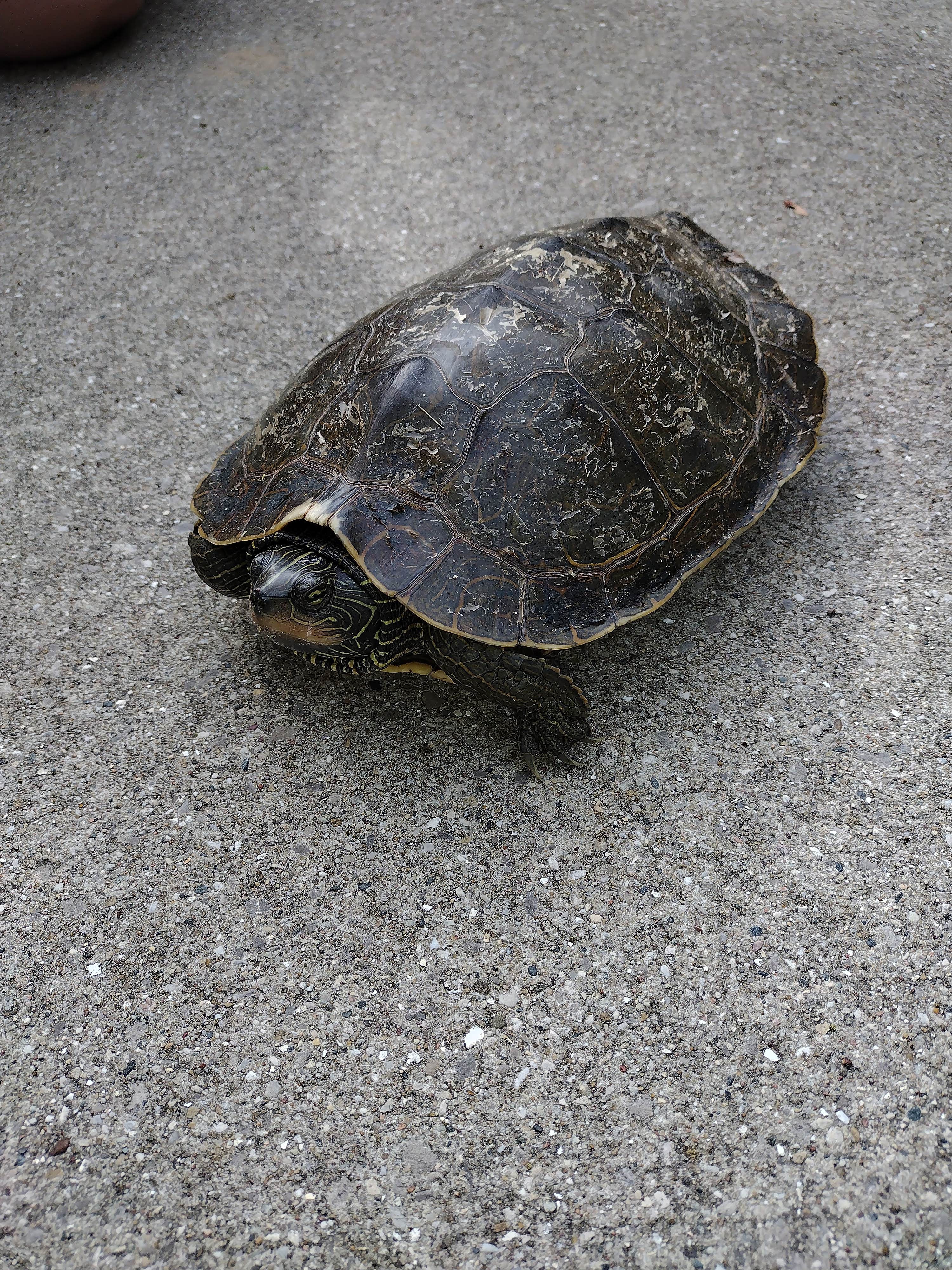 Camper-submitted photo at Blue Lake County Park near Twin Lake, MI
