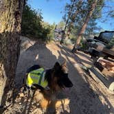 Review photo of Chilao Campground by christian , June 12, 2022