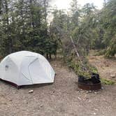 Review photo of Savage River Campground — Denali National Park by Angie G., June 12, 2022