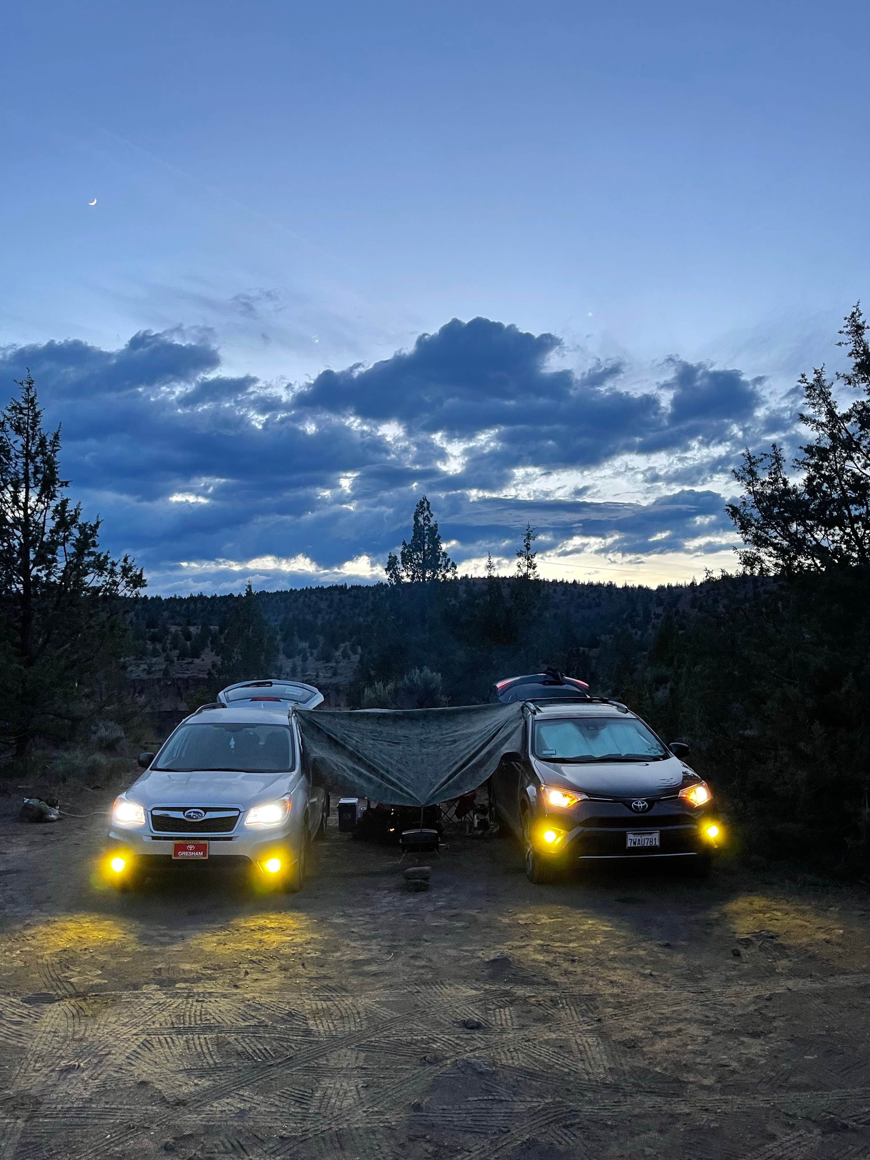 Camper submitted image from Steelhead Falls Trailhead & Campground - 3