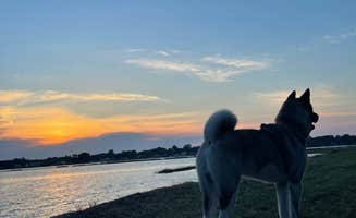 Jenn P.'s photo of camping with pets at The Colonies RV and Travel Park near Cheriton, VA