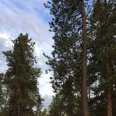 Review photo of Reuter Campground by Bill S., July 15, 2018