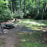 Review photo of Julian Price Park Campground — Blue Ridge Parkway by Nick , June 12, 2022