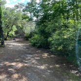 Review photo of First Landing State Park Campground by Sonyia W., June 13, 2022